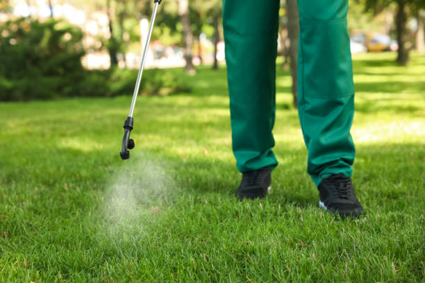 Best Emergency Pest Control  in Farmland, IN