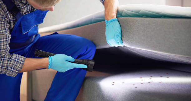 Best Wasp Removal Services  in Farmland, IN