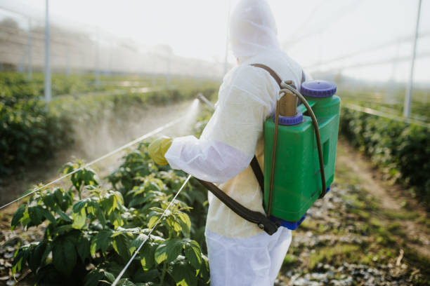 Best Pest Removal Services  in Farmland, IN